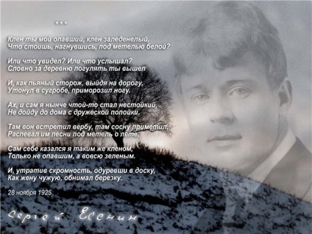 ������ ���� �� ��� ������� ����