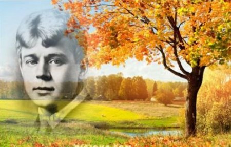 ������ ������ �������������