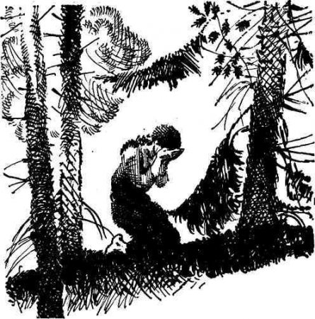 ����� �������� - ����������� ������ ������ ������� (�� ������ �. ������� ������� ��������)