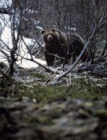 ��������� �������� �� ���������� (�������) ������������� ����� ������� (��������)