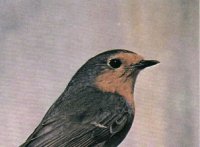 ��������� �� ���������� (�������) ������������� �������, 5 ����� (��������)